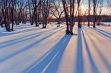 Tranquil Snow_11597